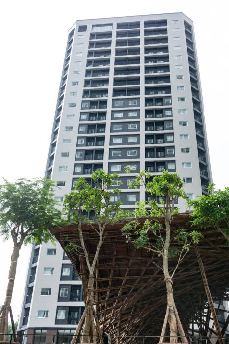 roygent parks hanoi