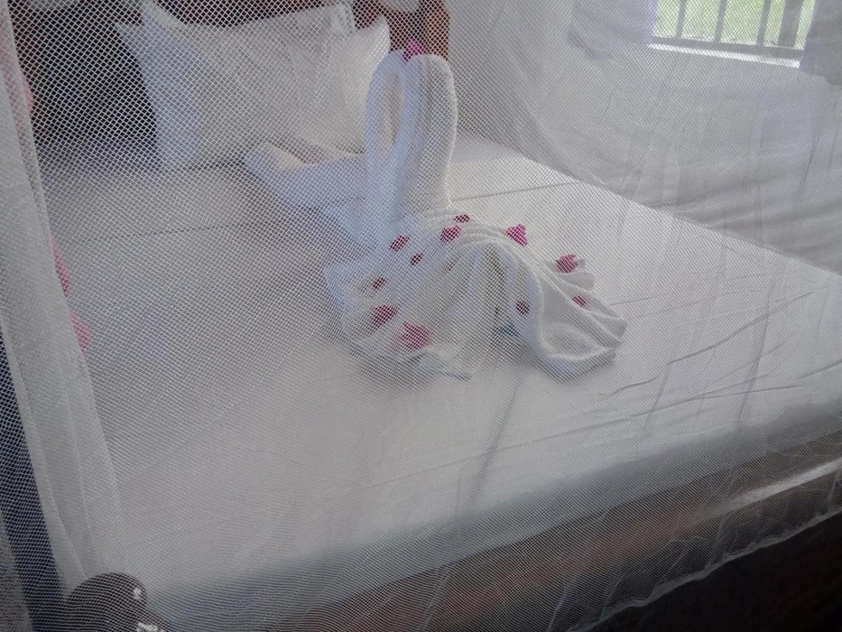 Ancestors Lodge,Karatu>>Arusha,2.5 star