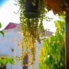 garden lodge