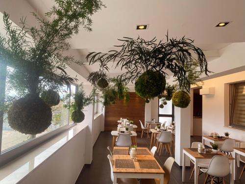 moma hotel