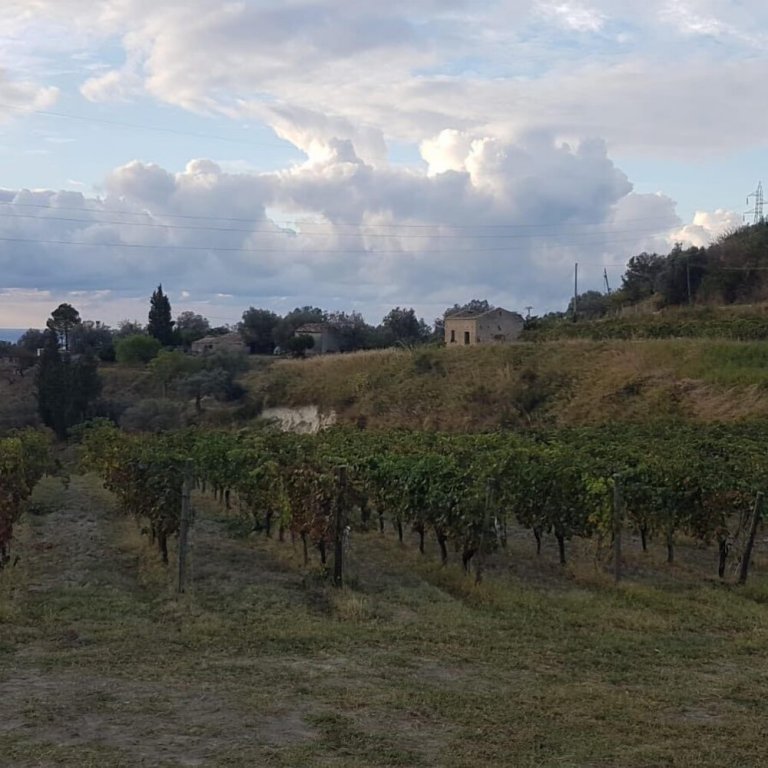 agriturismo modi