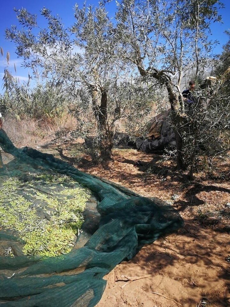 ciriga sicily glamping