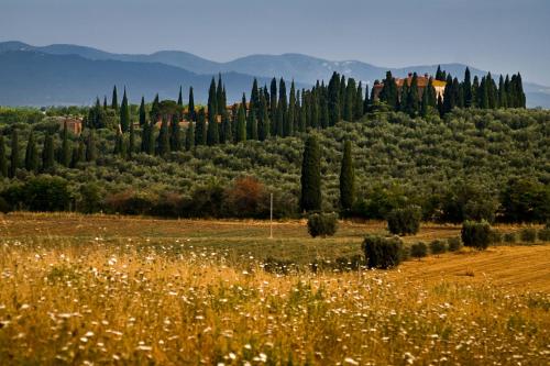 grosseto