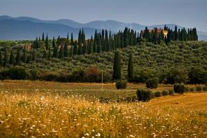 grosseto