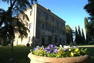 grosseto