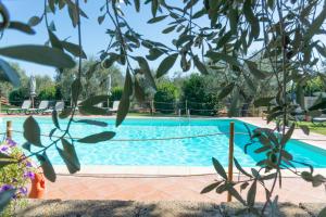 grosseto