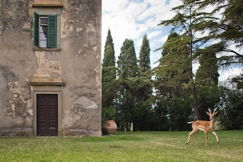 grosseto