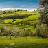 grosseto