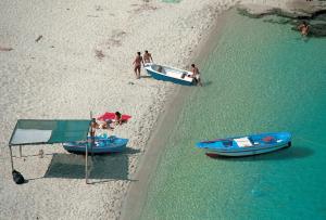tropea