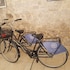 sotrani