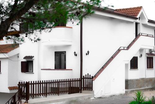 domus dams bandb