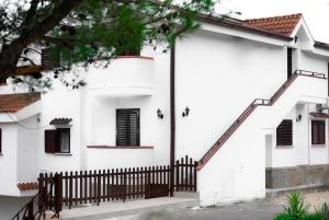 domus dams bandb