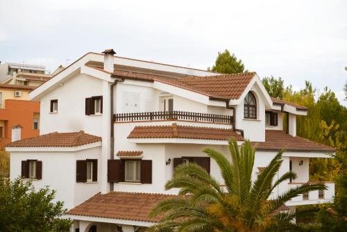 domus dams bandb
