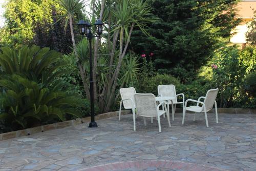 domus dams bandb