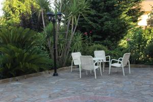 domus dams bandb