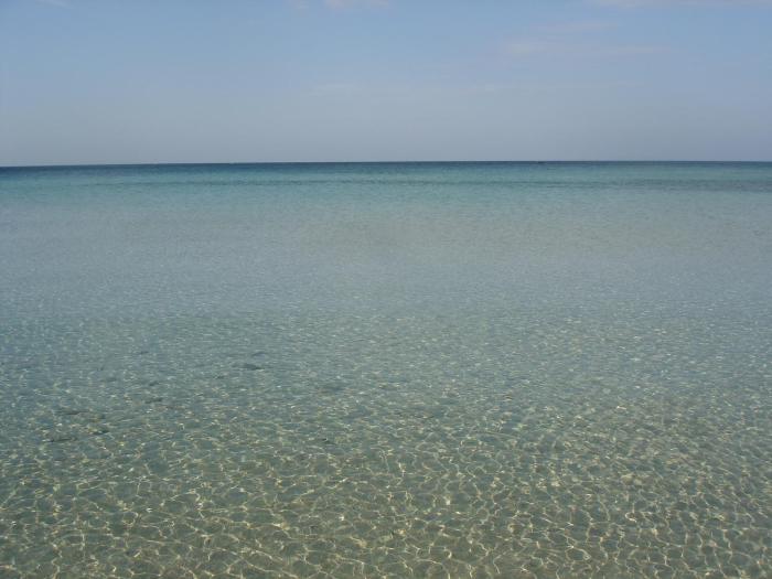 porto cesareo