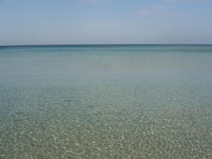 porto cesareo