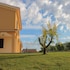 sassari