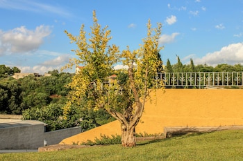 sassari