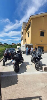 sassari