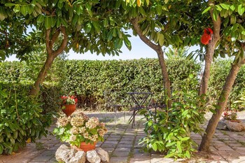 agriturismo artisti del cavallo