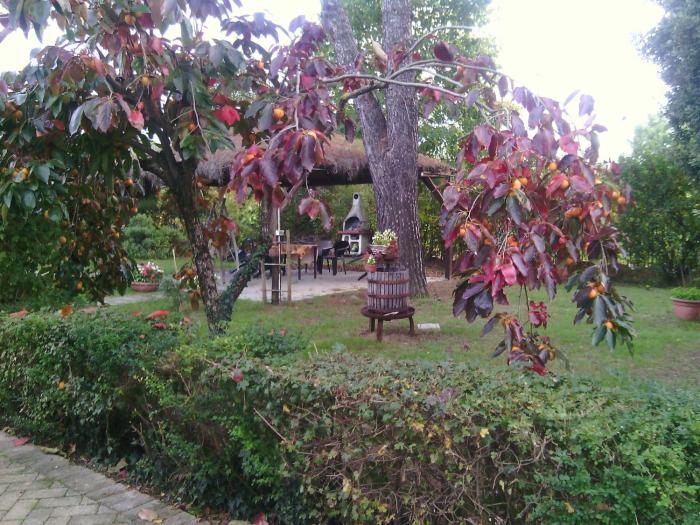 agriturismo artisti del cavallo