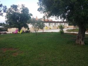 porto cesareo