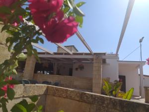 porto cesareo