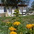 porto cesareo