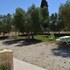 porto cesareo