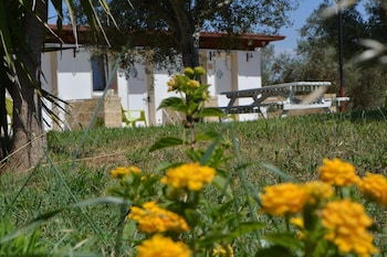 porto cesareo