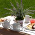 casina bardoscia relais