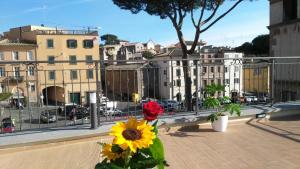 palazzo verdi bandb