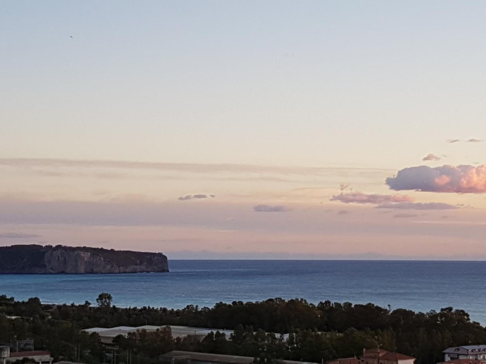 tortora