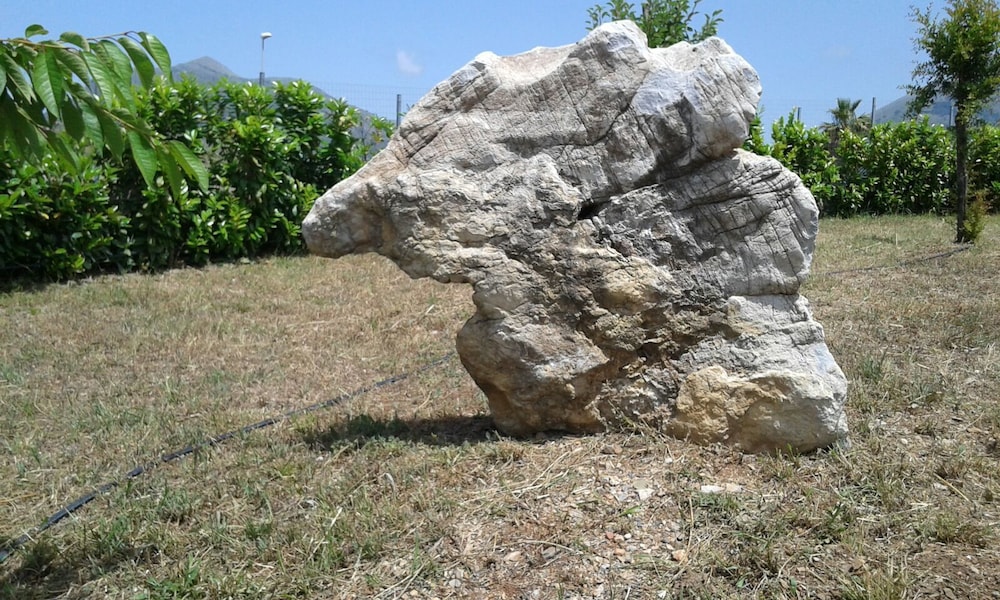 tortora