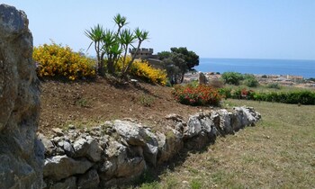 tortora