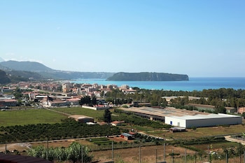 tortora