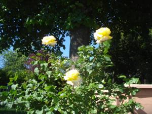 casa t bed and breakfast and home restaurant