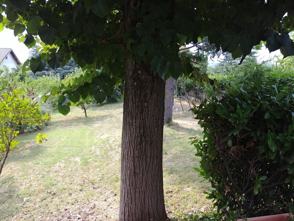 casa t bed and breakfast and home restaurant