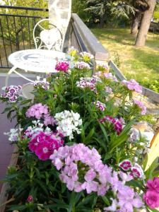 casa t bed and breakfast and home restaurant