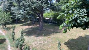 casa t bed and breakfast and home restaurant