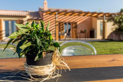 tenuta petra bianca