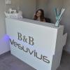 bandb vesuvius