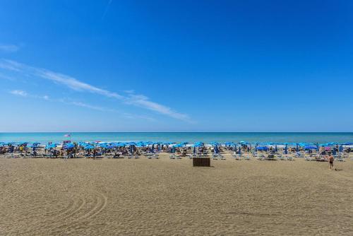 tarquinia