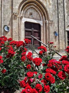tarquinia