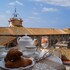 tarquinia