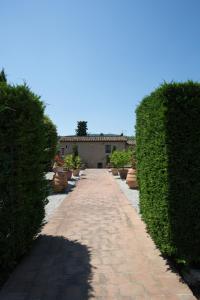 rocca degli olivi