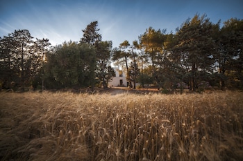 masseria fracchicchi