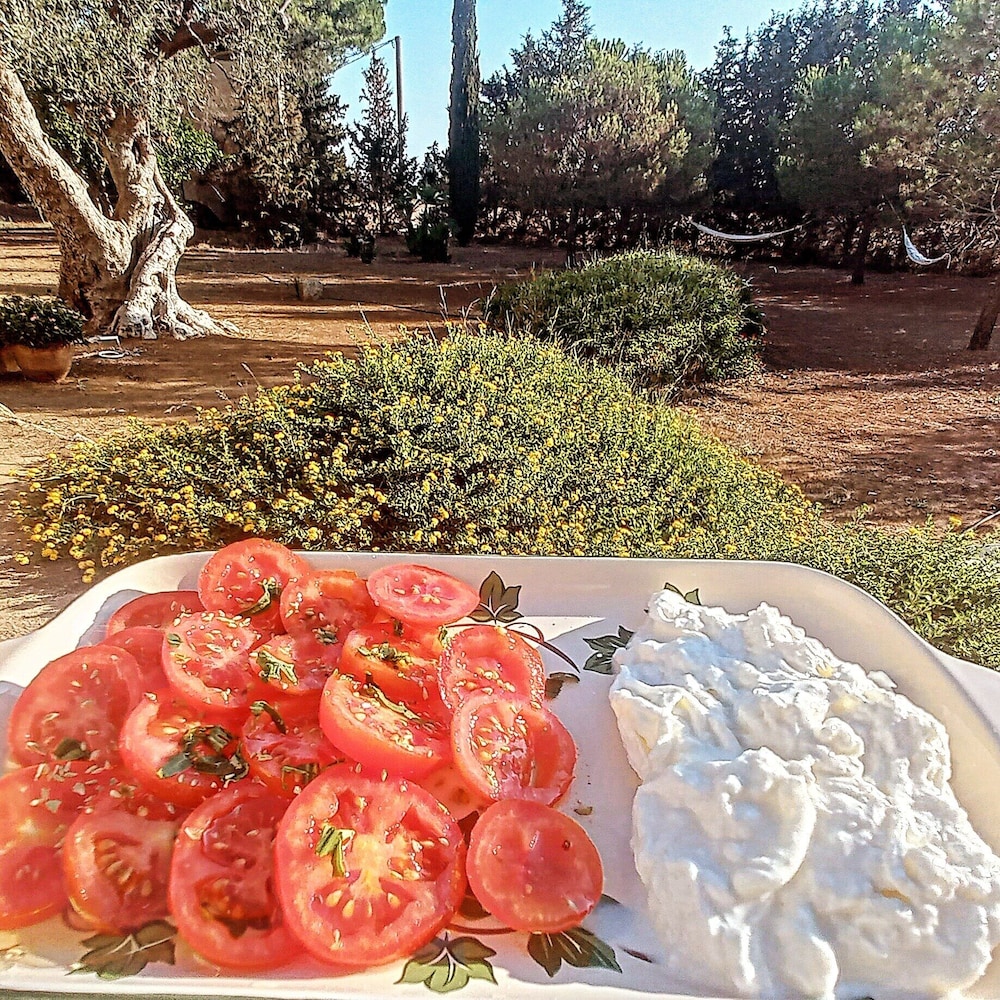 masseria fracchicchi