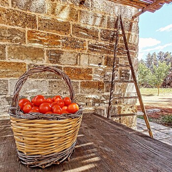 masseria fracchicchi